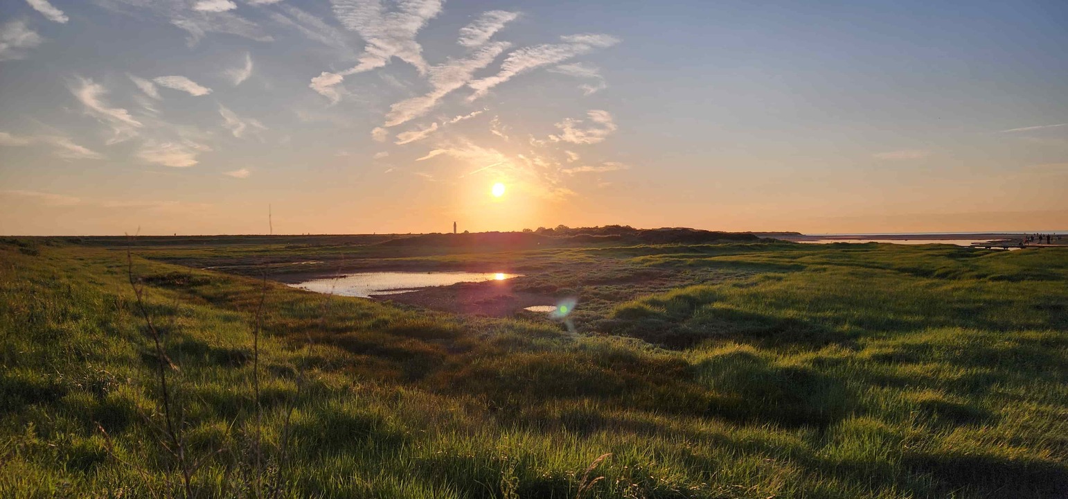 Natur a Holland